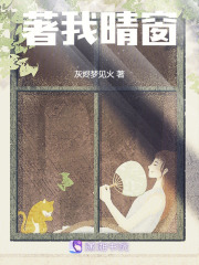 著我晴窗