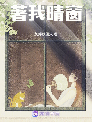 著我晴窗