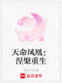 天命鳳凰：涅槃重生