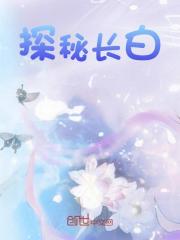求陈哲陆小葵小说免费资源
