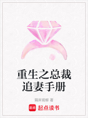重生之總裁追妻手冊