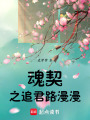 魂契之追君路漫漫