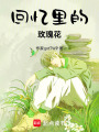 回憶里的玫瑰花