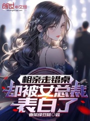 许航白梦姗小说《相亲走错桌，却被女总裁表白了》在线阅读-经典文学