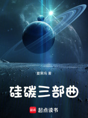 硅碳三部曲