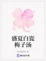 盛夏白瓷梅子湯