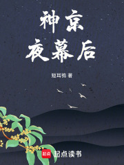 神京夜幕后