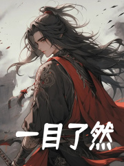 小说《一目了然》免费阅读