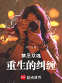 禁忌雙魂：重生的糾纏