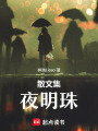散文集：夜明珠