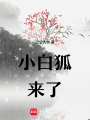 小白狐來了