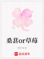 桑葚or草莓