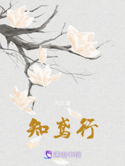 知鳶行