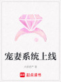 寵妻系統上線