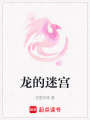 龍的迷宮
