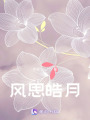風(fēng)思皓月