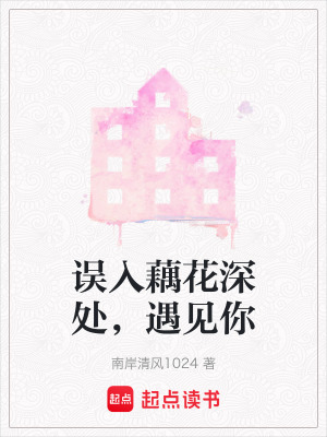 誤入藕花深處，遇見你