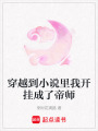 穿越到小說里我開掛成了帝師
