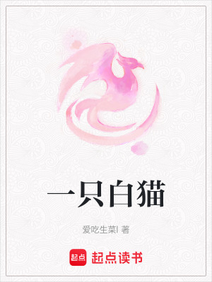 一只白貓