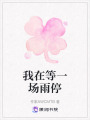 我在等一場雨停