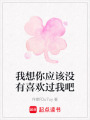 我想你應該沒有喜歡過我吧