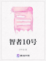 智者10號