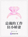 總裁的工作狂小嬌妻