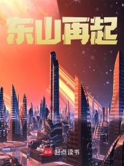 曹莽何朝阳《东山再起》小说章节目录免费阅读-胖达文学