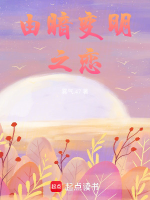 由暗變明之戀