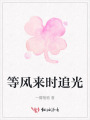 等風(fēng)來時追光
