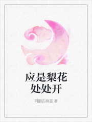 应是梨花处处开林挽朝裴淮止，应是梨花处处开小说免费阅读