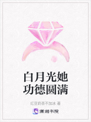 白月光她功德圓滿