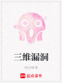 三維漏洞