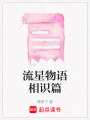 流星物語相識篇