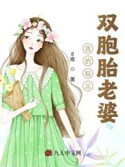 《我的极品双胞胎老婆》无删减章节目录在线阅读-胖达文学