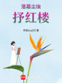 落幕塵埃抒紅樓