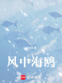 風中海鷗