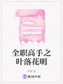 全職高手之葉落花明