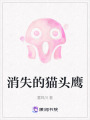 消失的貓頭鷹