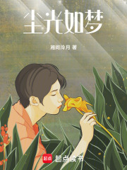 塵光如夢