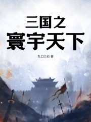 三国之寰宇天下小说无删减在线免费阅读