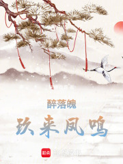 醉落魄，玖來鳳鳴