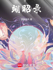 翊昭情