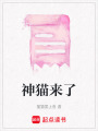 神貓來了
