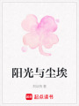 陽光與塵埃