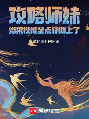 攻略師妹，結果技能全點輔助上了
