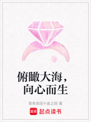 俯瞰大海，向心而生