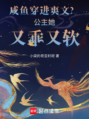 穿進爽文：公主她靠手工制作攻略