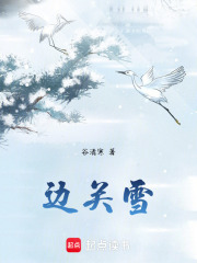 邊關雪