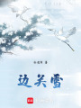 邊關(guān)雪
